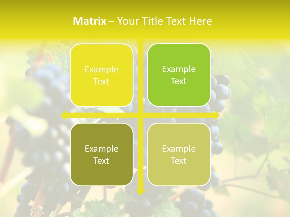 Bunch Vino Green PowerPoint Template