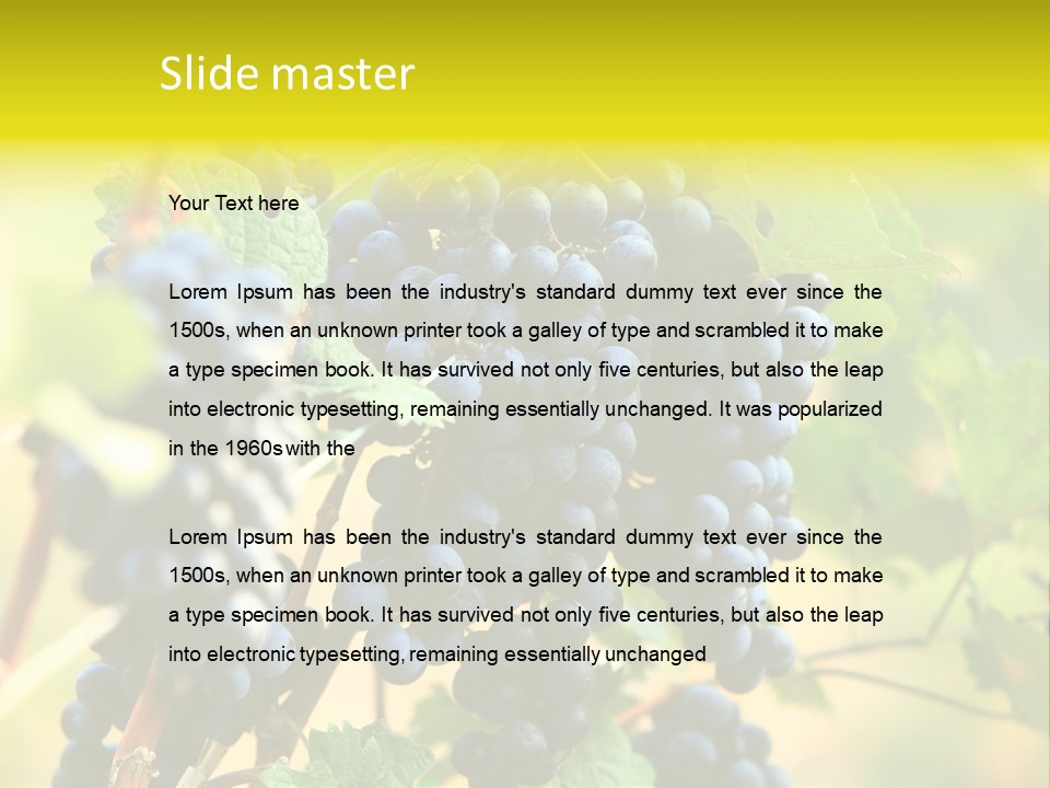 Bunch Vino Green PowerPoint Template