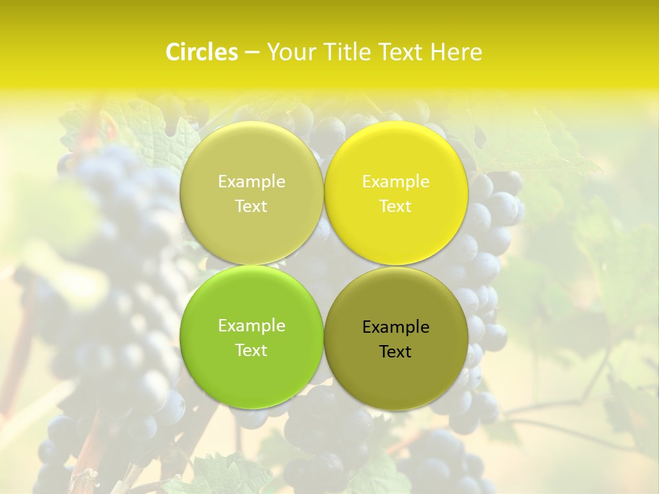 Bunch Vino Green PowerPoint Template