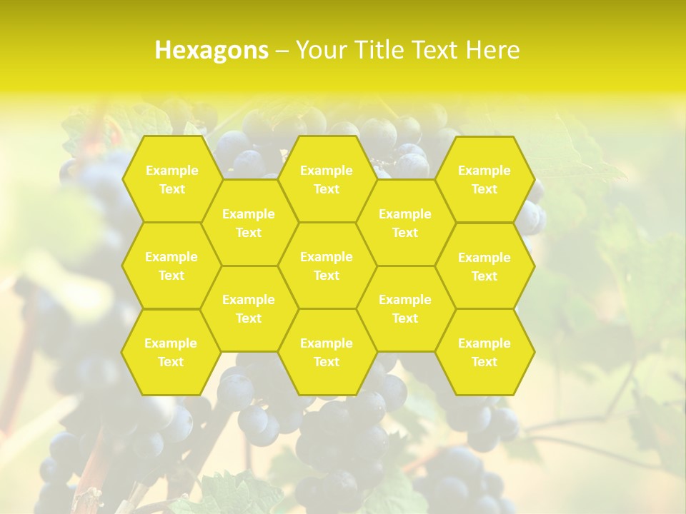 Bunch Vino Green PowerPoint Template