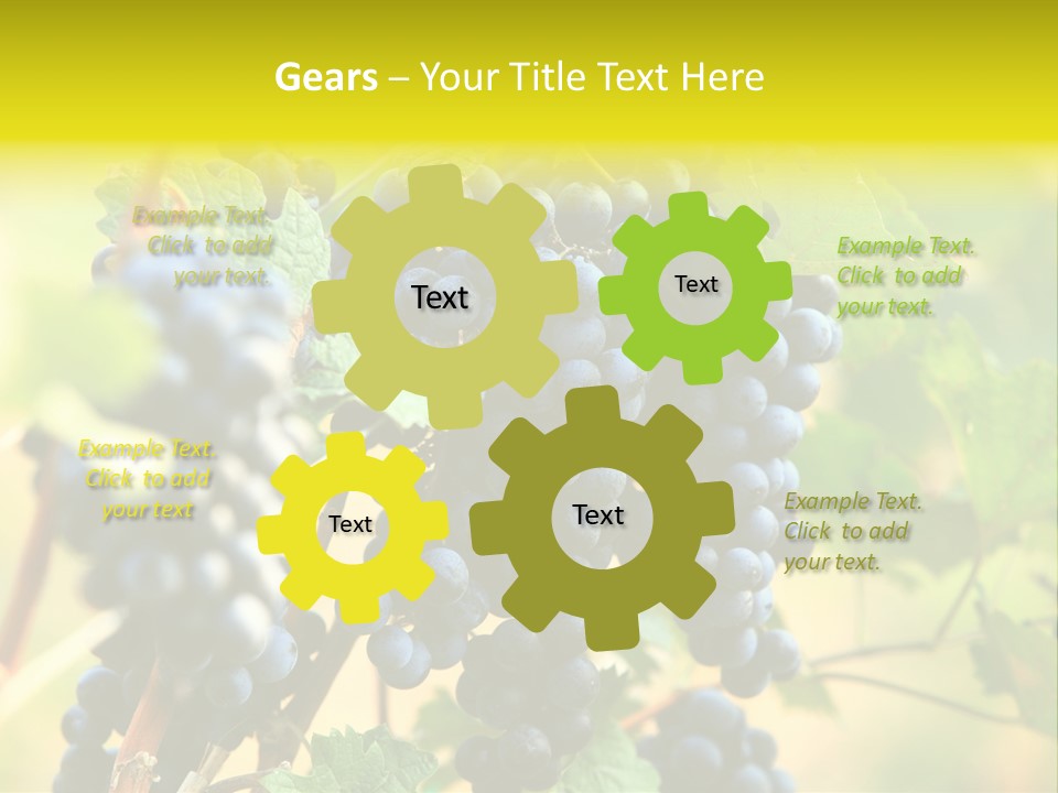 Bunch Vino Green PowerPoint Template