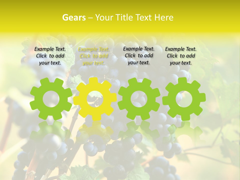 Bunch Vino Green PowerPoint Template