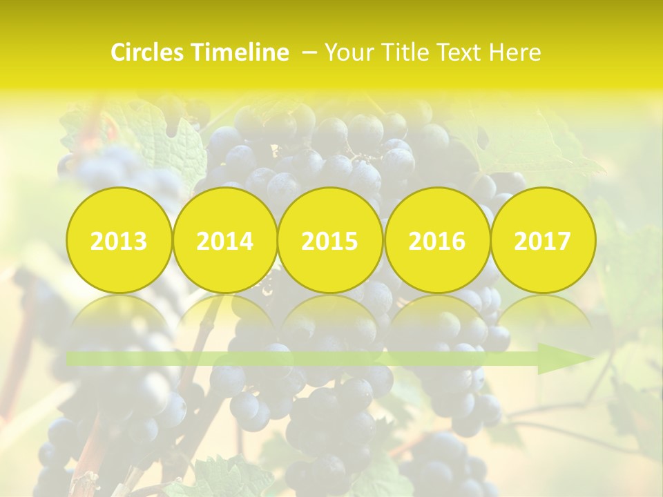 Bunch Vino Green PowerPoint Template