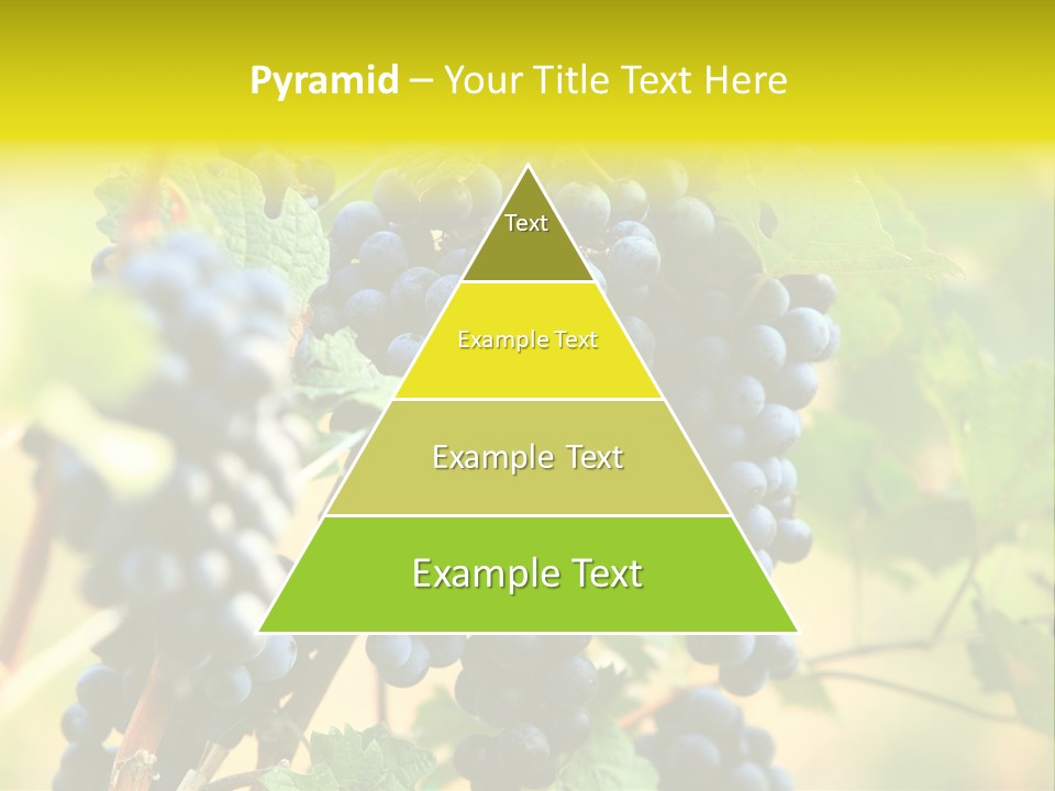 Bunch Vino Green PowerPoint Template