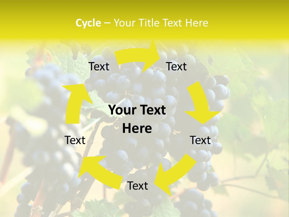 Bunch Vino Green PowerPoint Template