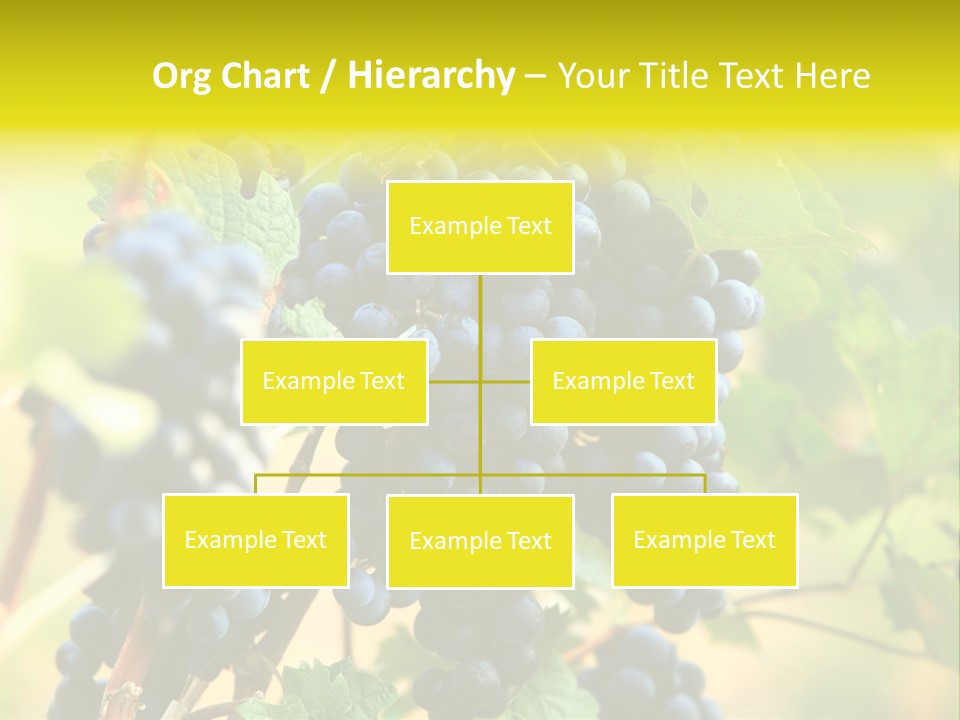 Bunch Vino Green PowerPoint Template