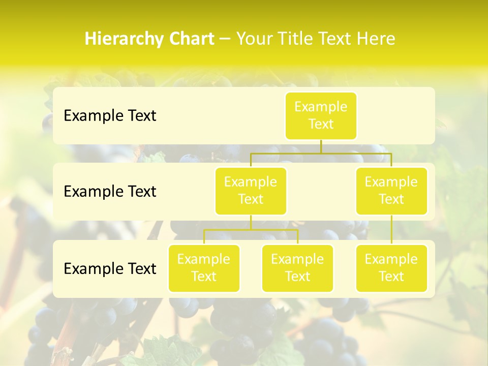 Bunch Vino Green PowerPoint Template