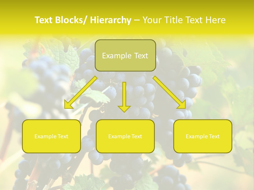 Bunch Vino Green PowerPoint Template