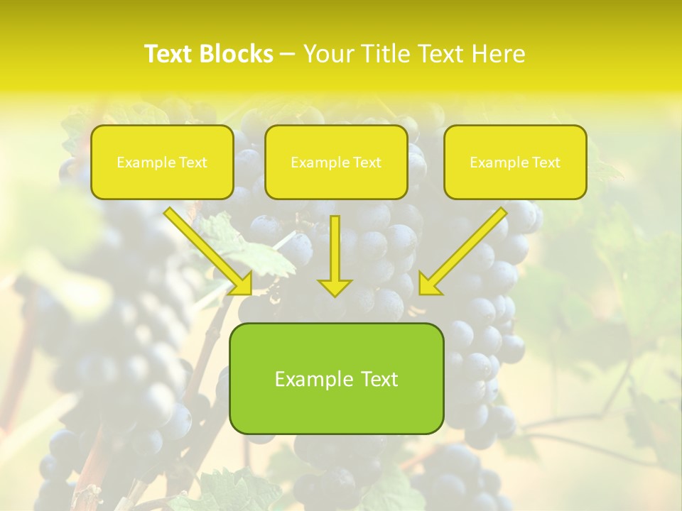 Bunch Vino Green PowerPoint Template