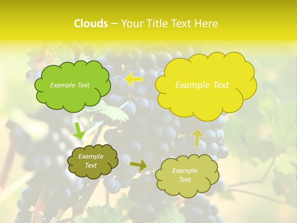 Bunch Vino Green PowerPoint Template