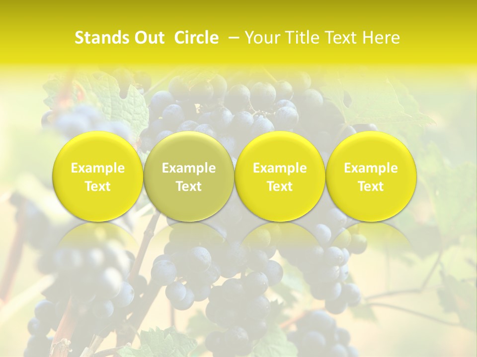 Bunch Vino Green PowerPoint Template