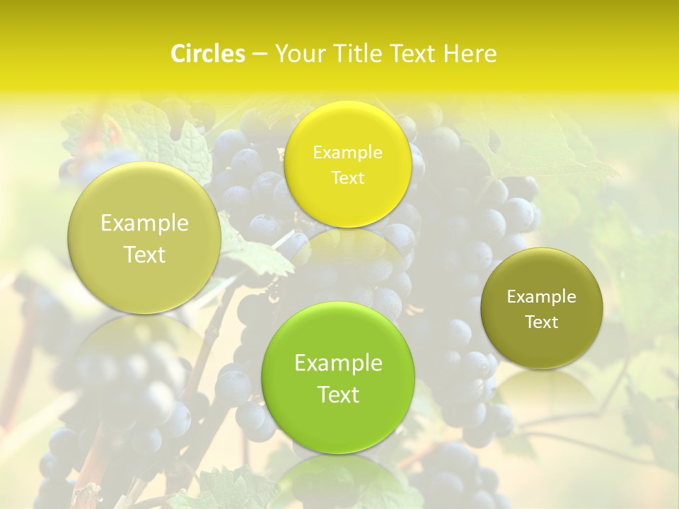 Bunch Vino Green PowerPoint Template