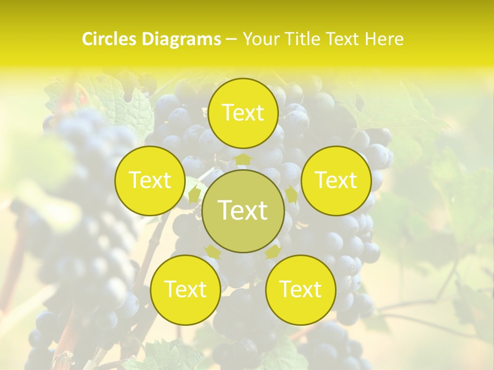 Bunch Vino Green PowerPoint Template