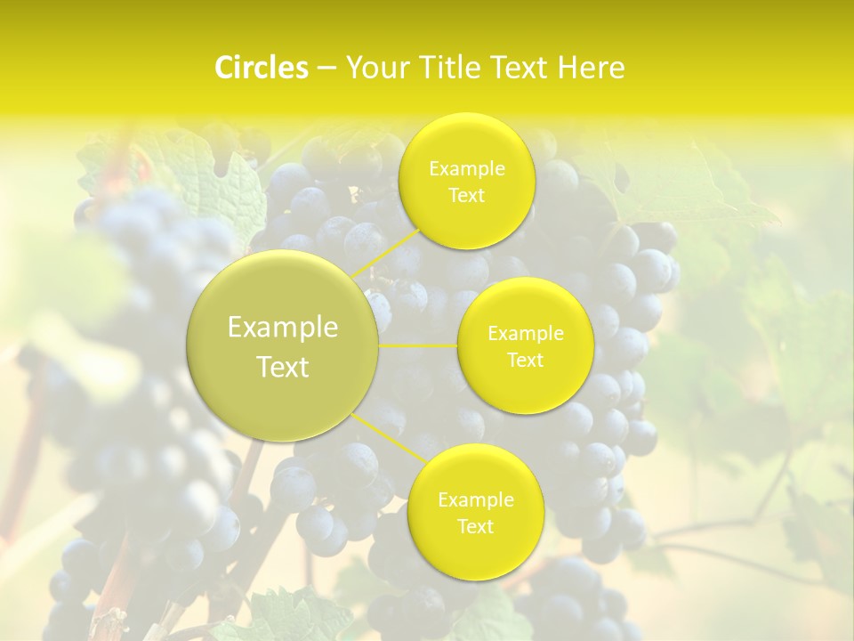 Bunch Vino Green PowerPoint Template