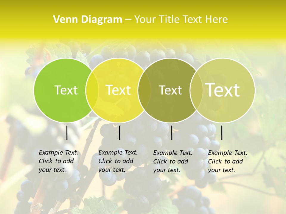Bunch Vino Green PowerPoint Template