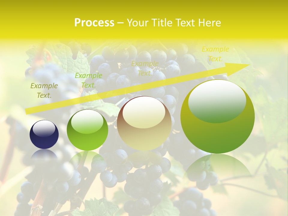 Bunch Vino Green PowerPoint Template