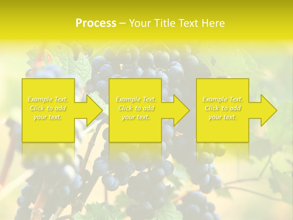 Bunch Vino Green PowerPoint Template