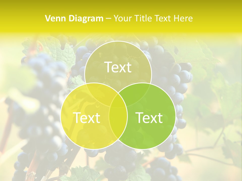 Bunch Vino Green PowerPoint Template