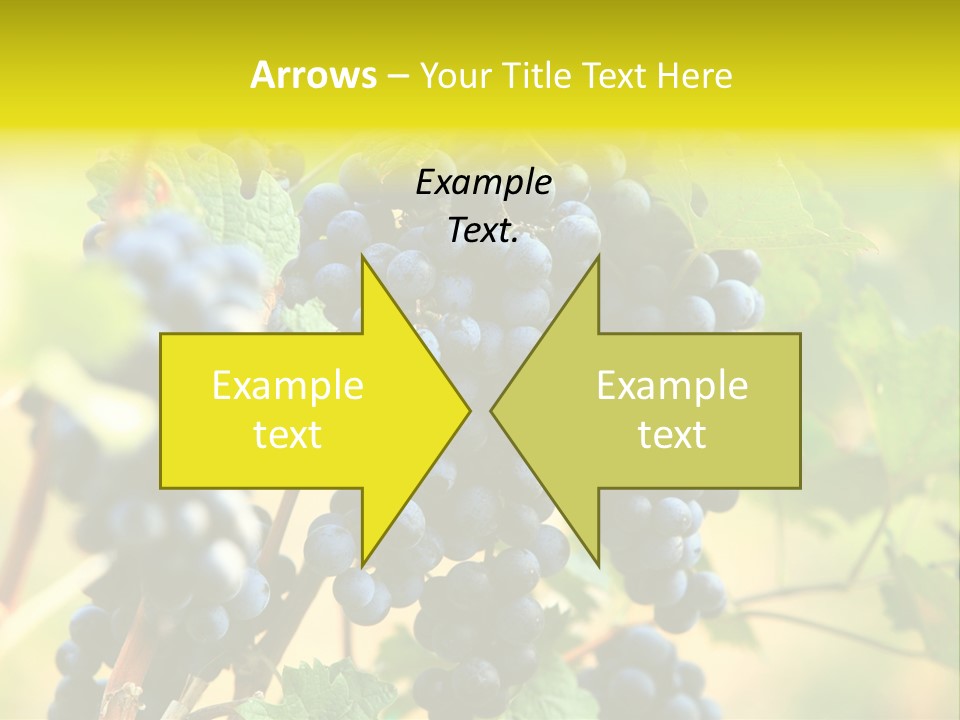 Bunch Vino Green PowerPoint Template