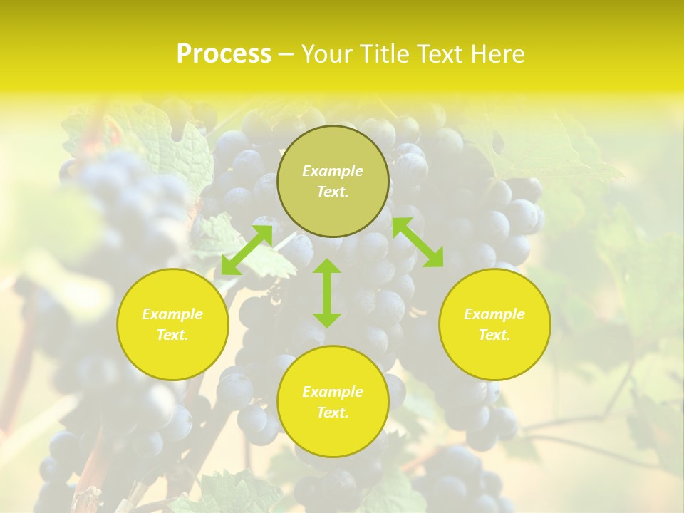 Bunch Vino Green PowerPoint Template