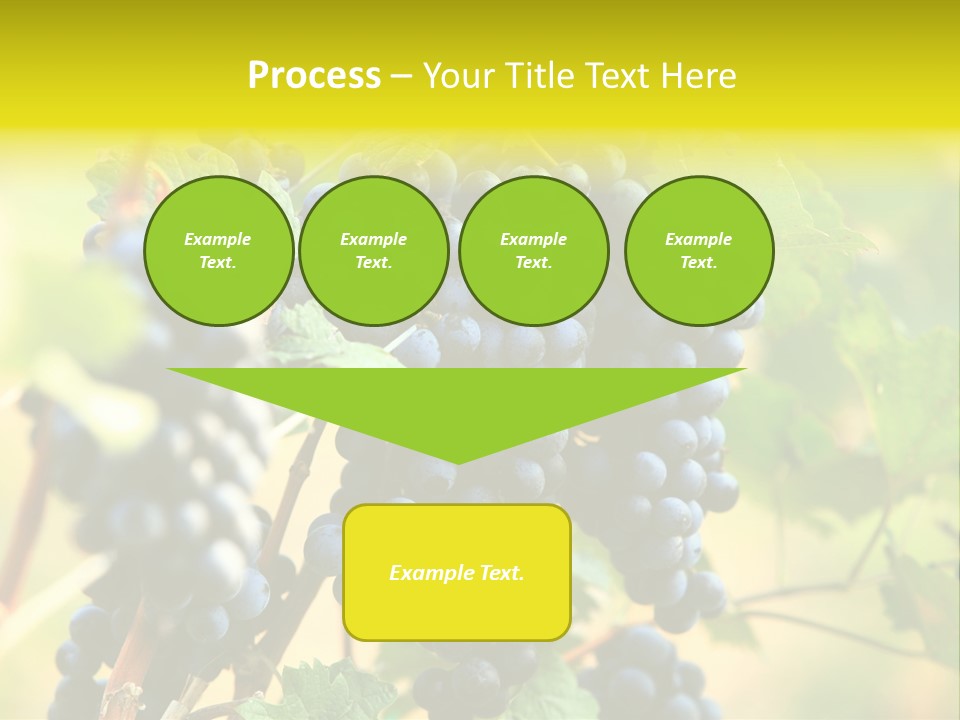 Bunch Vino Green PowerPoint Template
