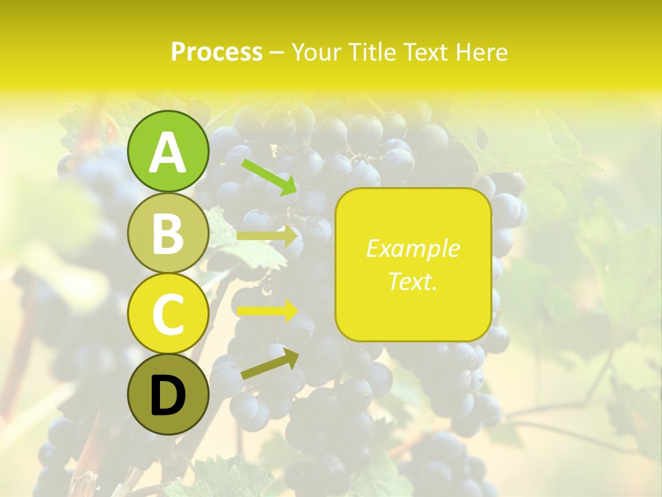 Bunch Vino Green PowerPoint Template