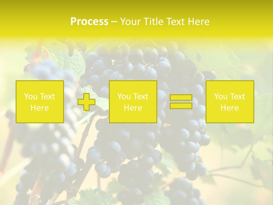 Bunch Vino Green PowerPoint Template