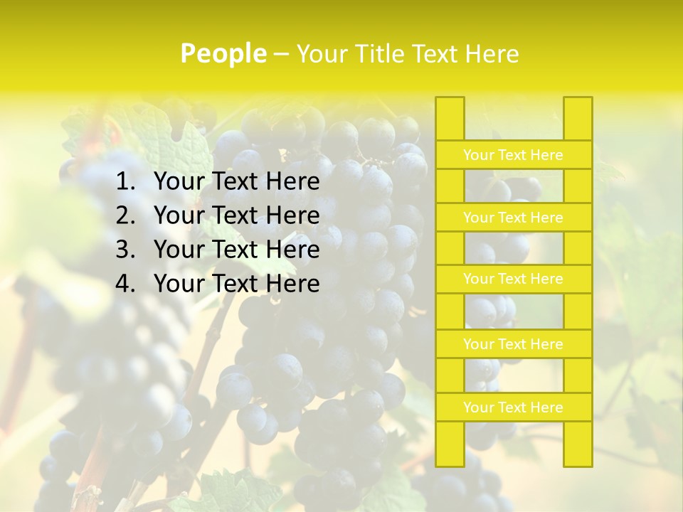 Bunch Vino Green PowerPoint Template