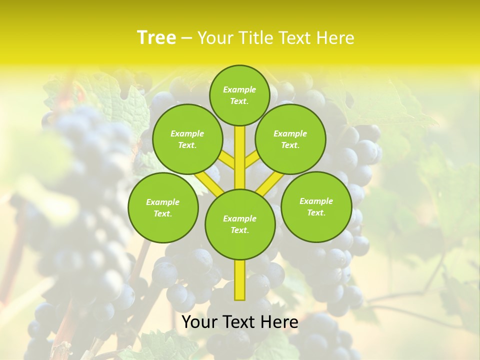 Bunch Vino Green PowerPoint Template