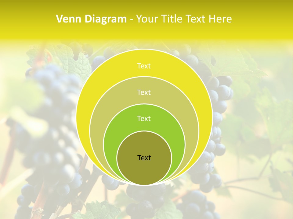 Bunch Vino Green PowerPoint Template