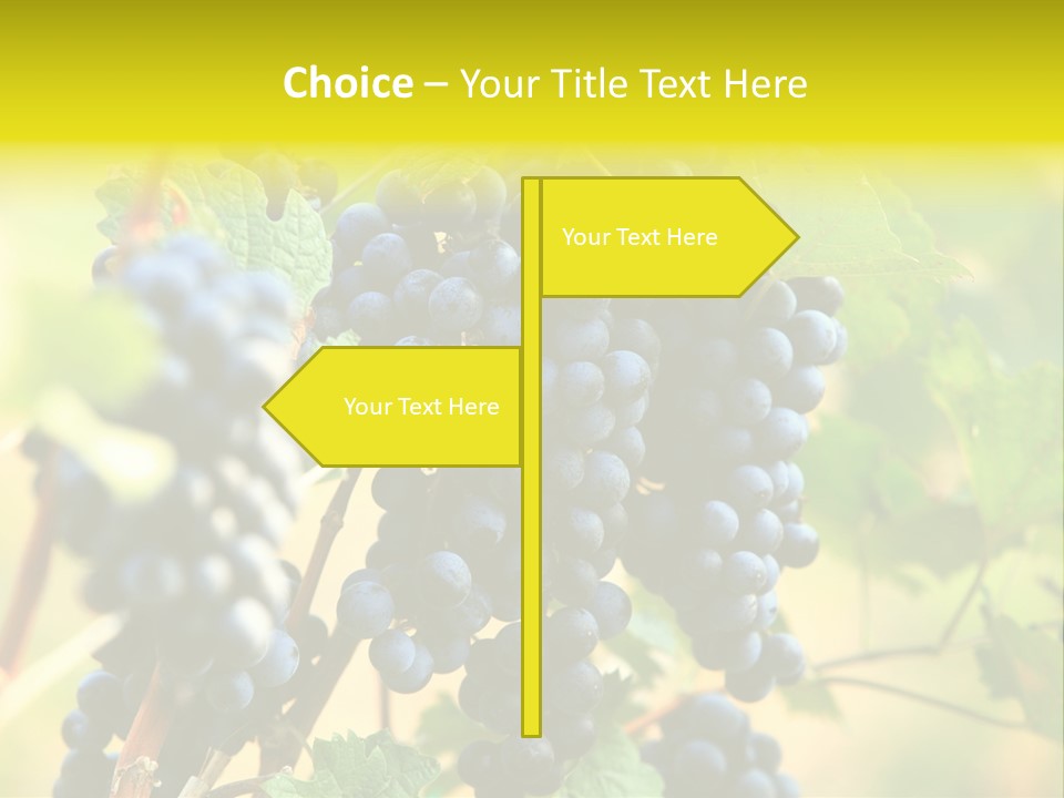 Bunch Vino Green PowerPoint Template