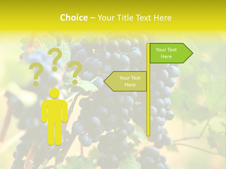Bunch Vino Green PowerPoint Template