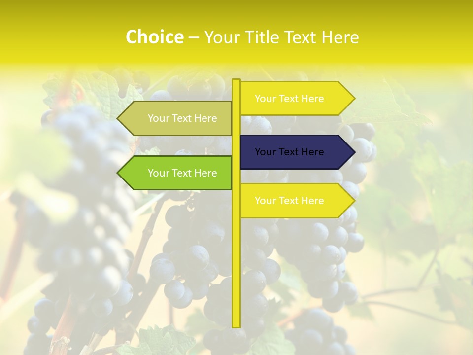 Bunch Vino Green PowerPoint Template