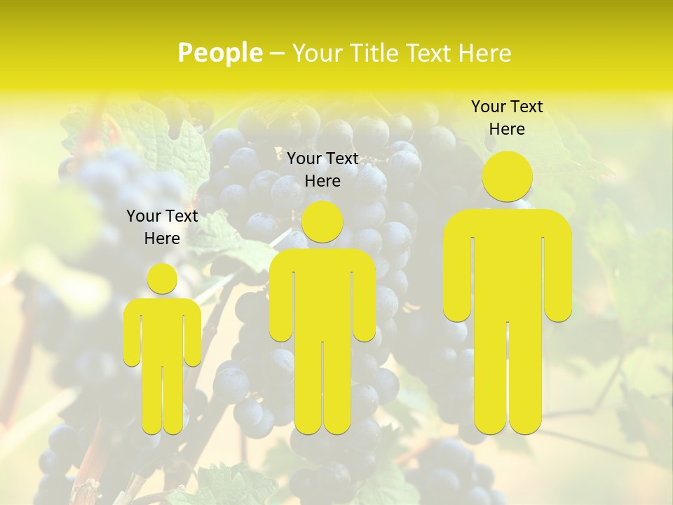 Bunch Vino Green PowerPoint Template