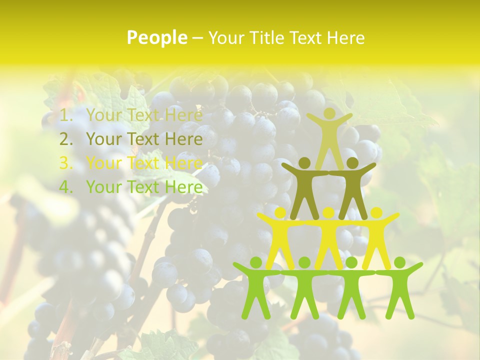 Bunch Vino Green PowerPoint Template