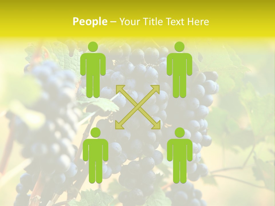 Bunch Vino Green PowerPoint Template