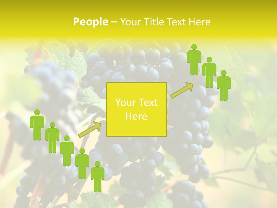 Bunch Vino Green PowerPoint Template