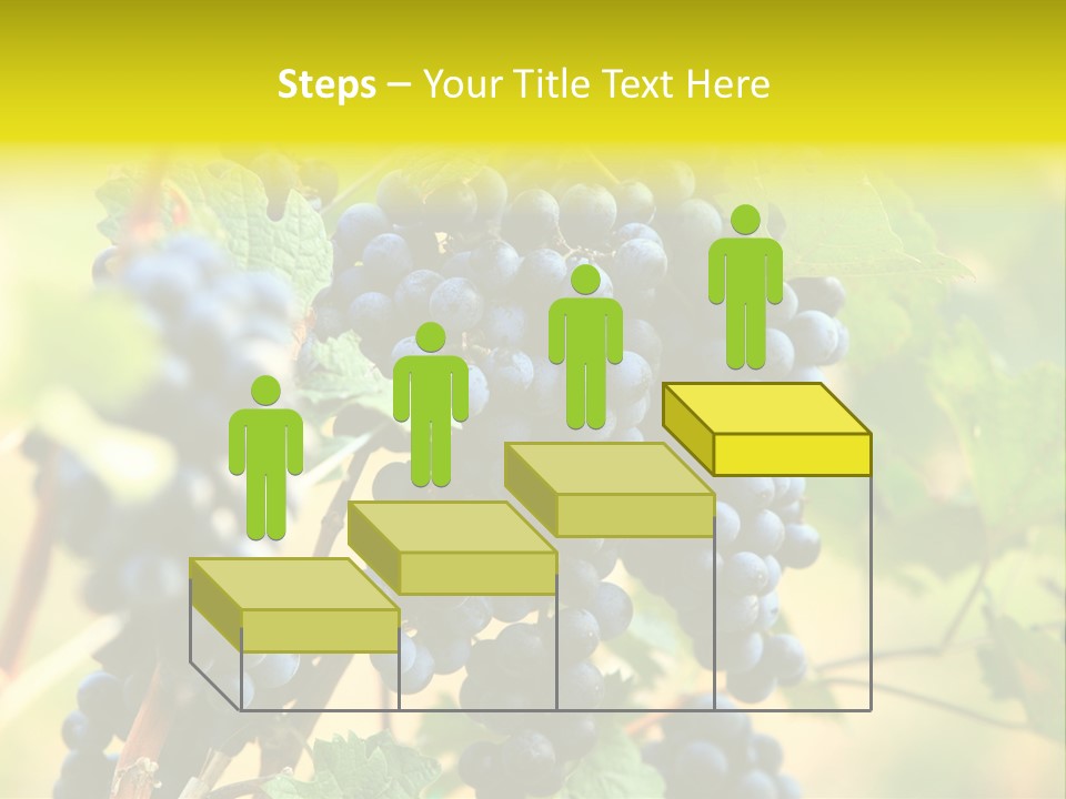 Bunch Vino Green PowerPoint Template