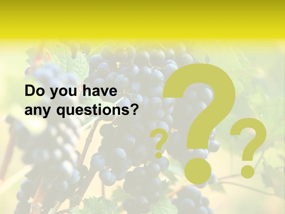 Bunch Vino Green PowerPoint Template