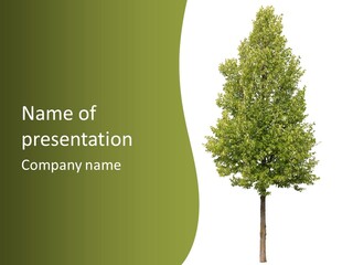 Ecological Bright One PowerPoint Template