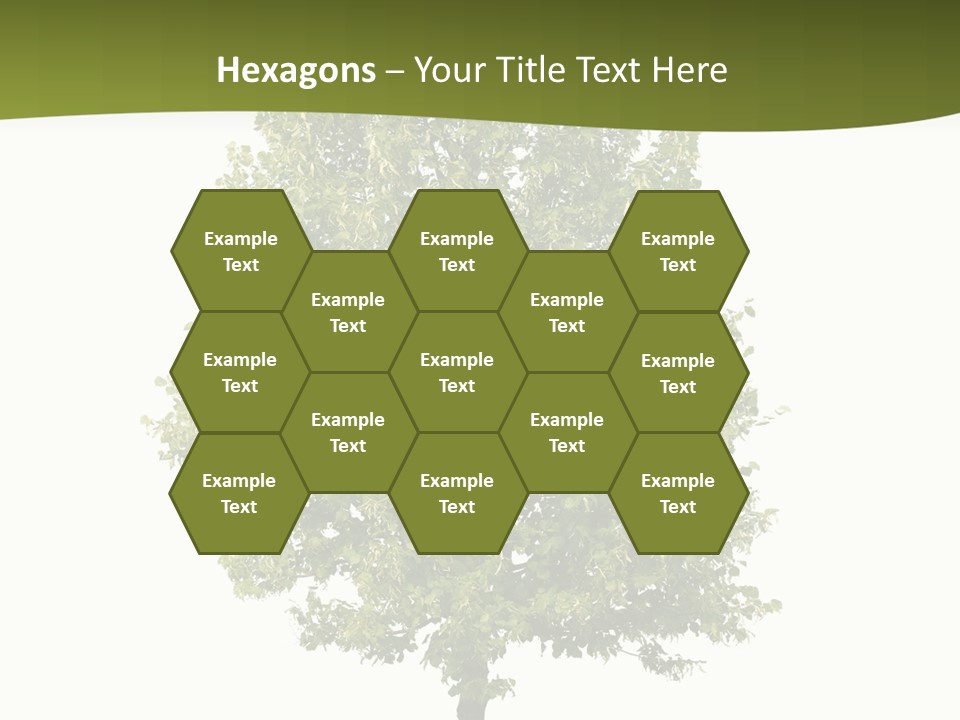 Ecological Bright One PowerPoint Template