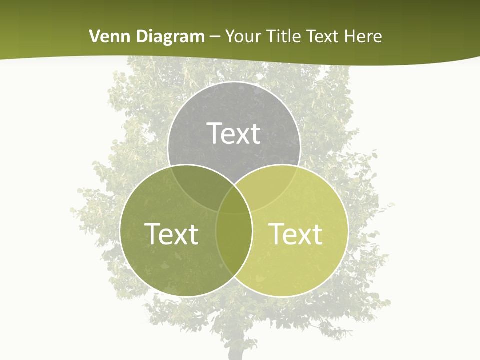 Ecological Bright One PowerPoint Template