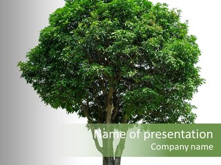 Leafy Growing Nature PowerPoint Template