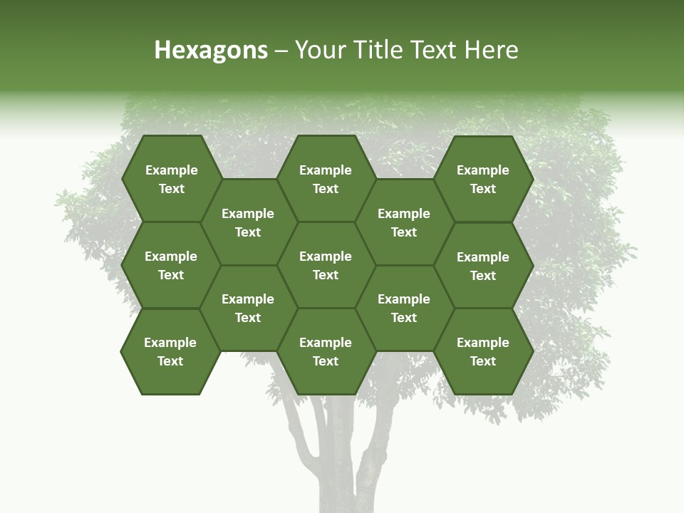 Leafy Growing Nature PowerPoint Template