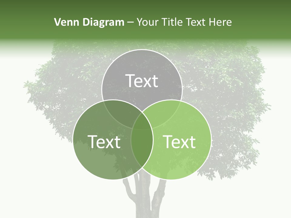 Leafy Growing Nature PowerPoint Template