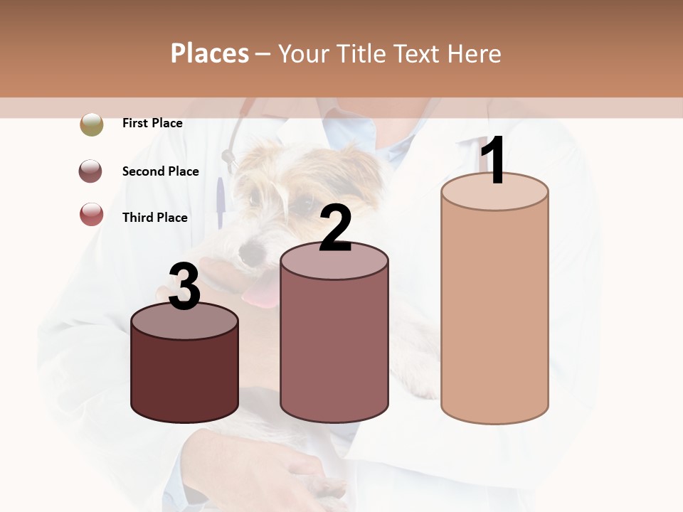 Company Office Di Cu Ion PowerPoint Template