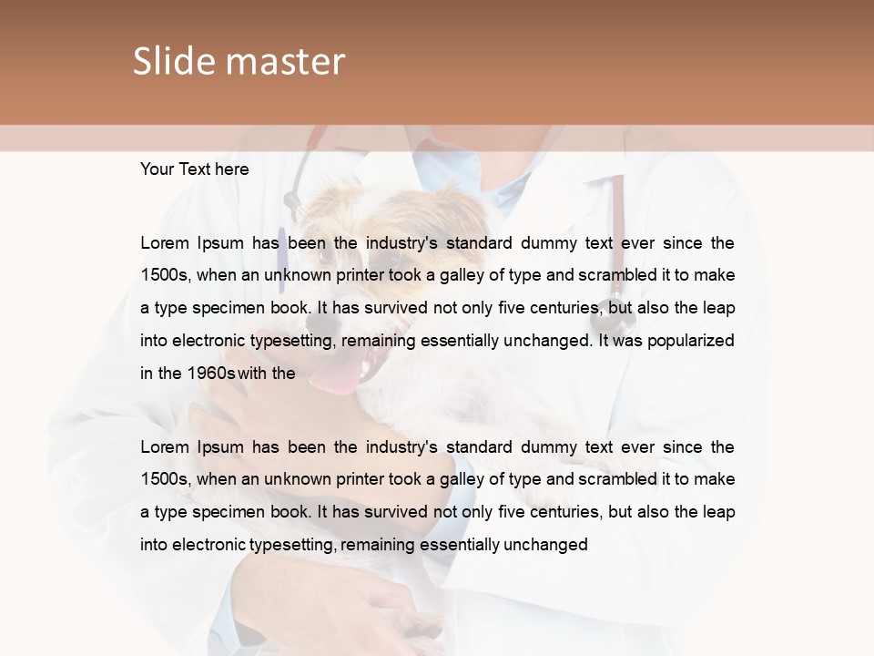 Company Office Di Cu Ion PowerPoint Template