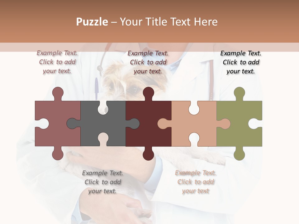 Company Office Di Cu Ion PowerPoint Template