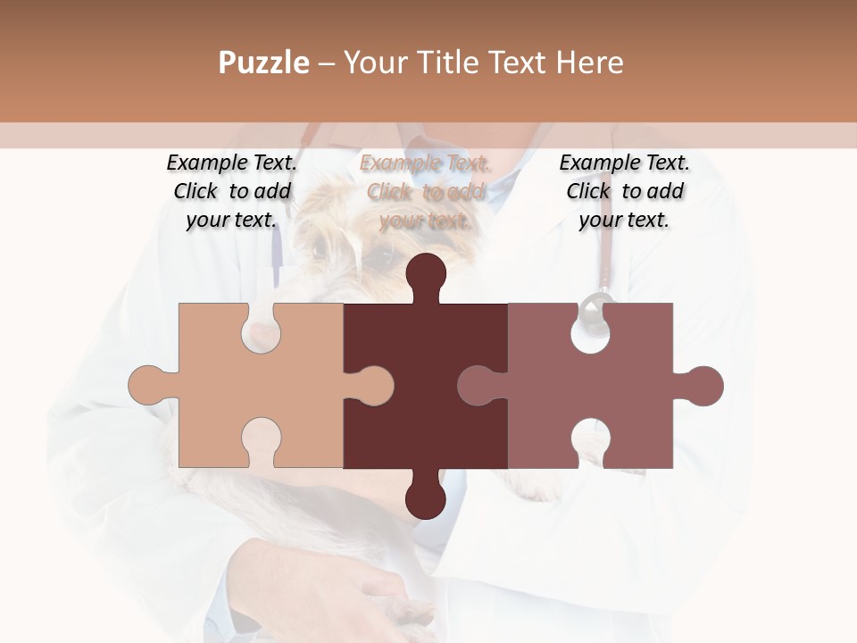 Company Office Di Cu Ion PowerPoint Template