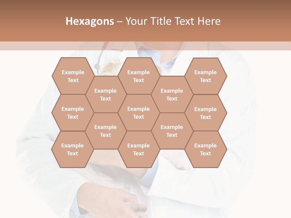 Company Office Di Cu Ion PowerPoint Template